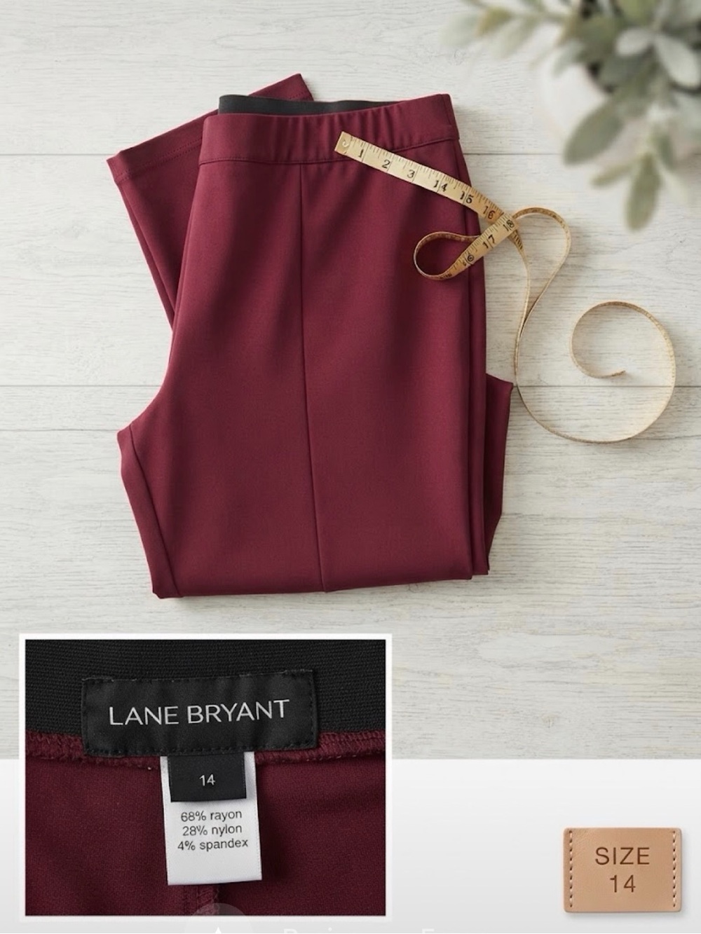 Lane Bryant Plum Straight-Leg Pull-On Pants women’s